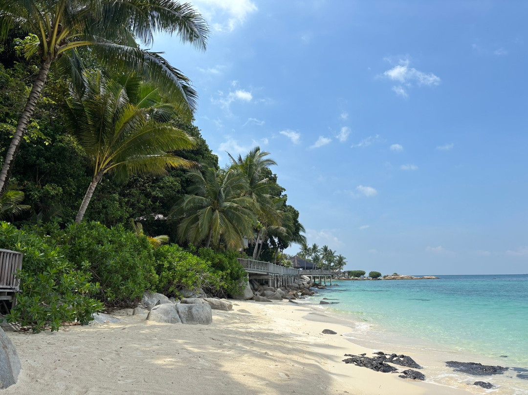 Batu Batu主图