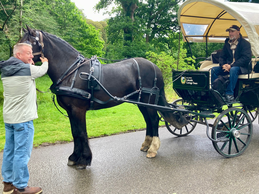 Killarney National Park-基拉尼必去景点