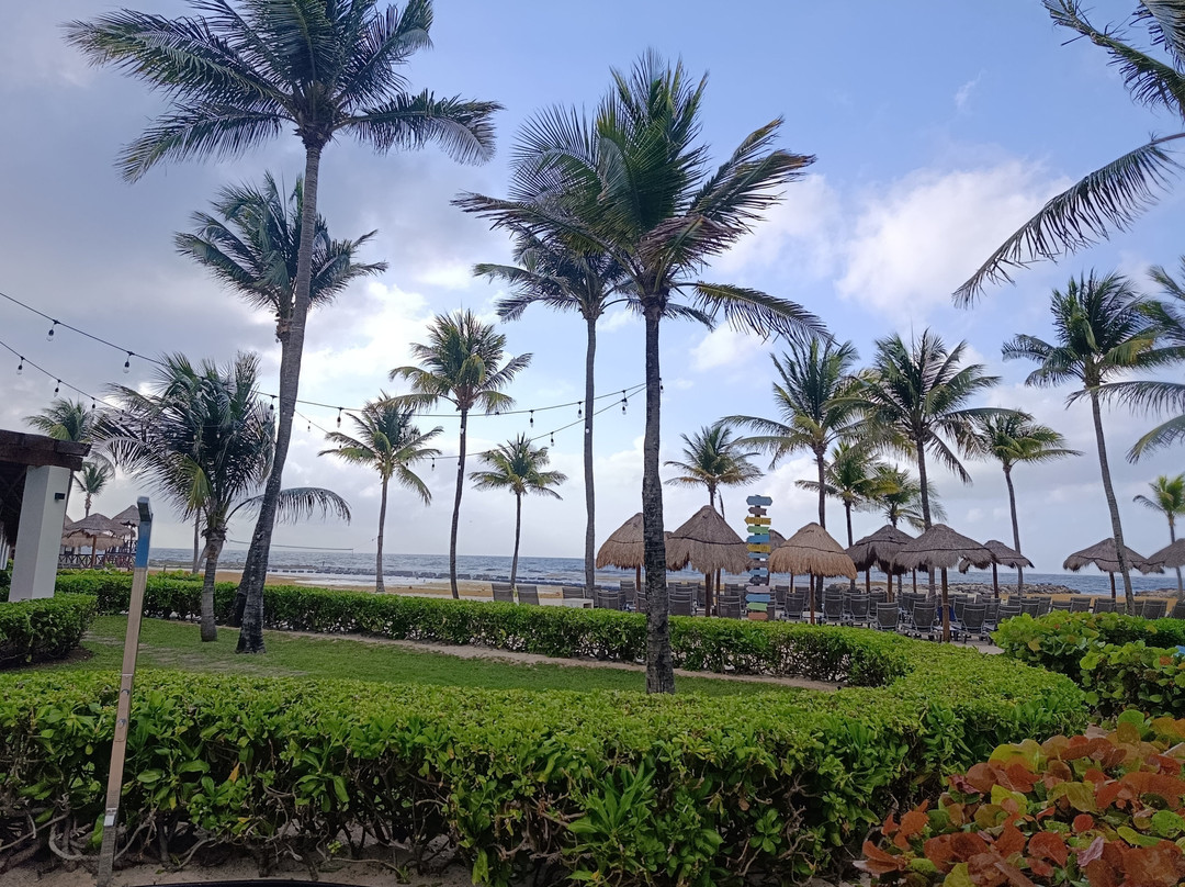 Catalonia Yucatan Beach - All Inclusive主图