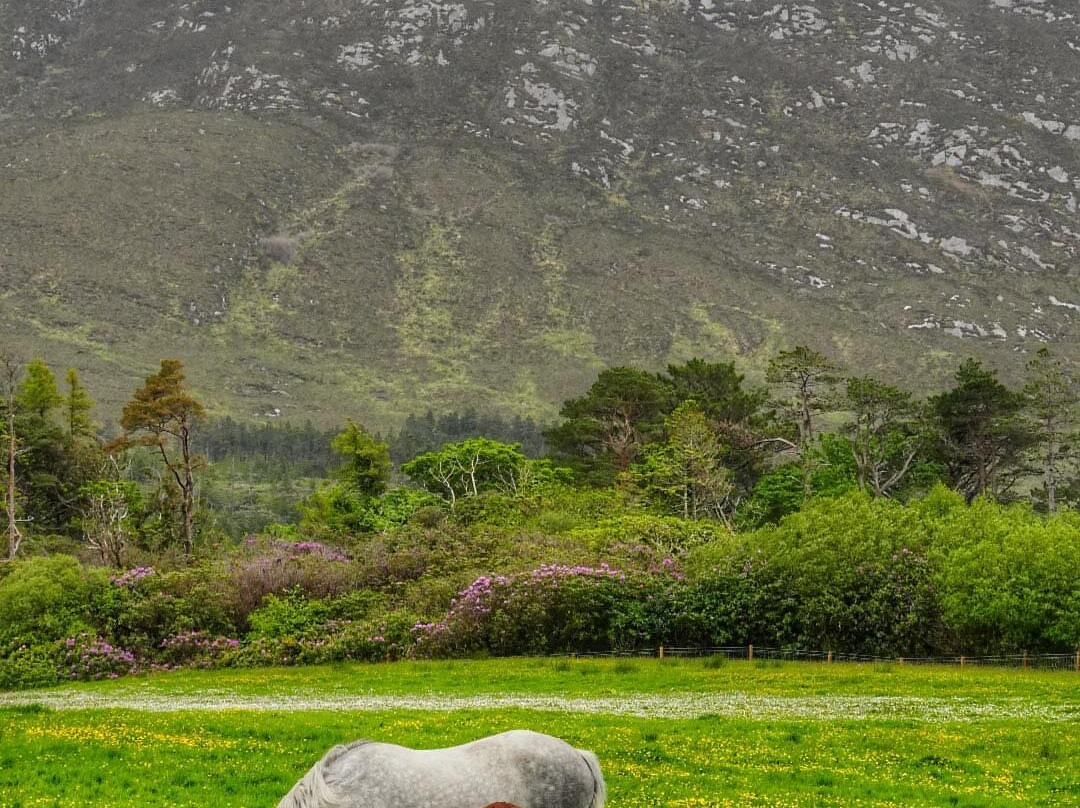 Ireland West Tours-戈尔韦必去景点