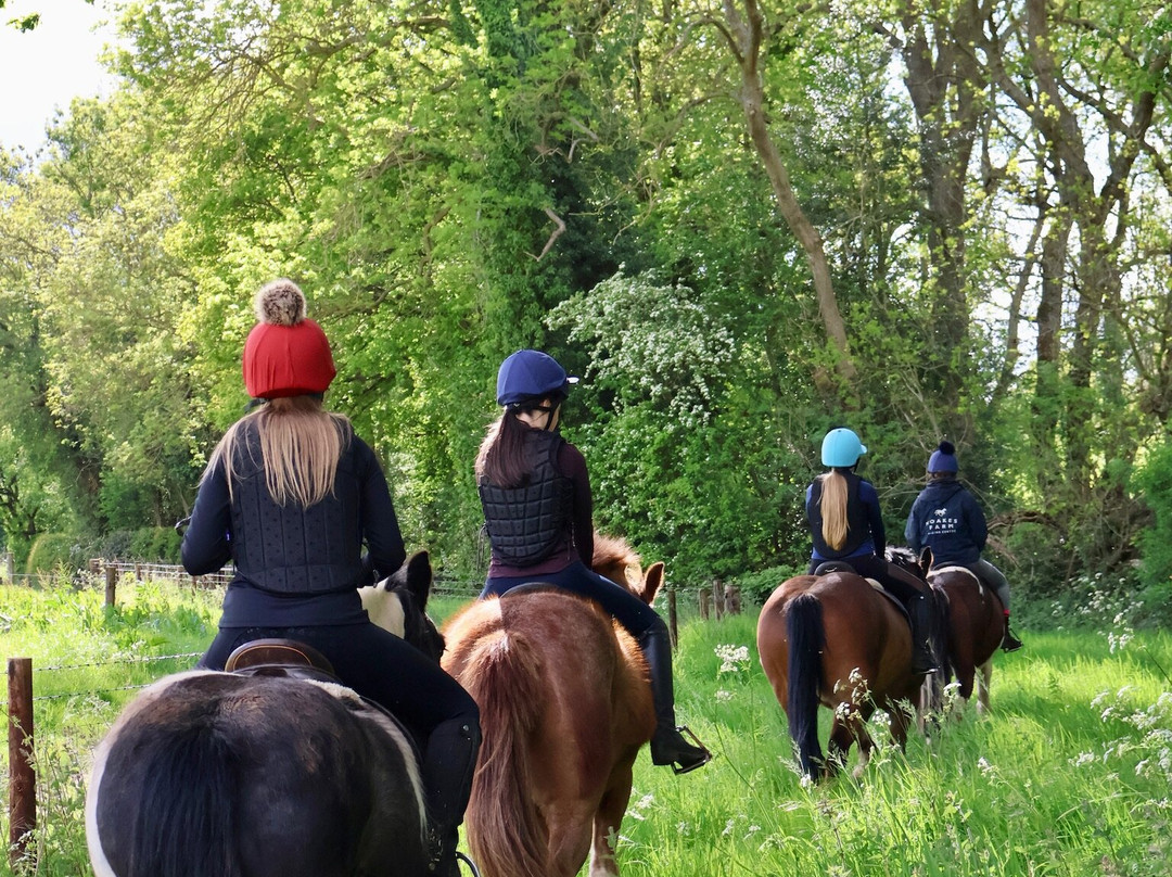 Noakes Farm Riding Centre-Bromyard必去景点