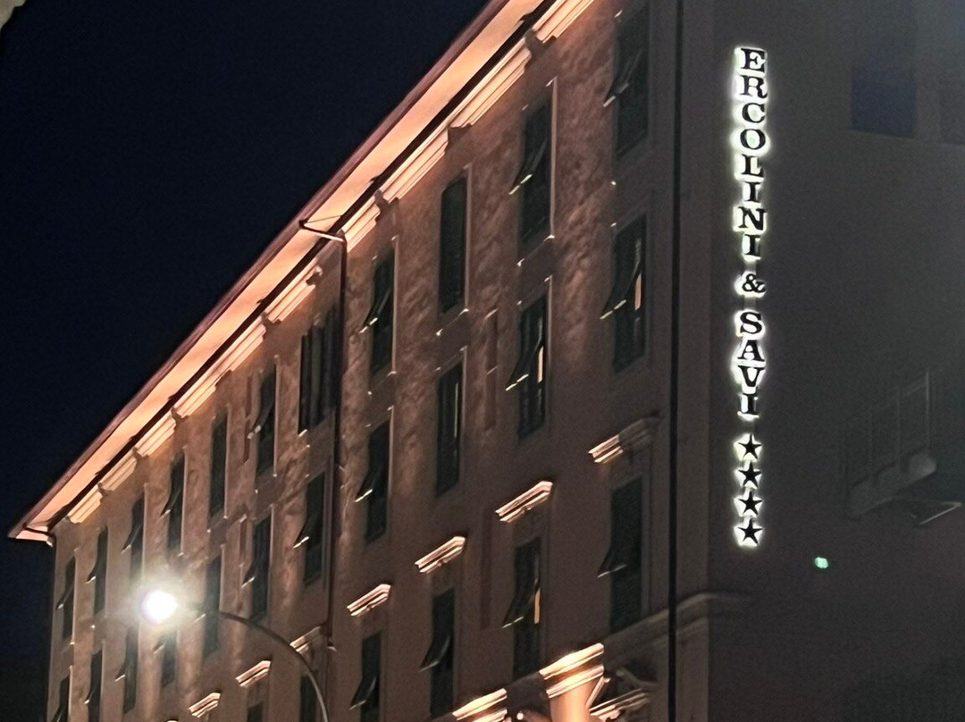 埃尔可利尼艾萨维酒店主图