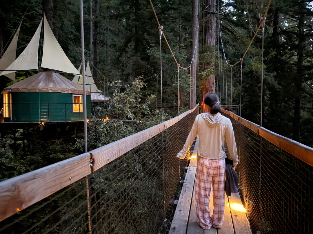 Sonoma Zipline Adventures-Occidental必去景点