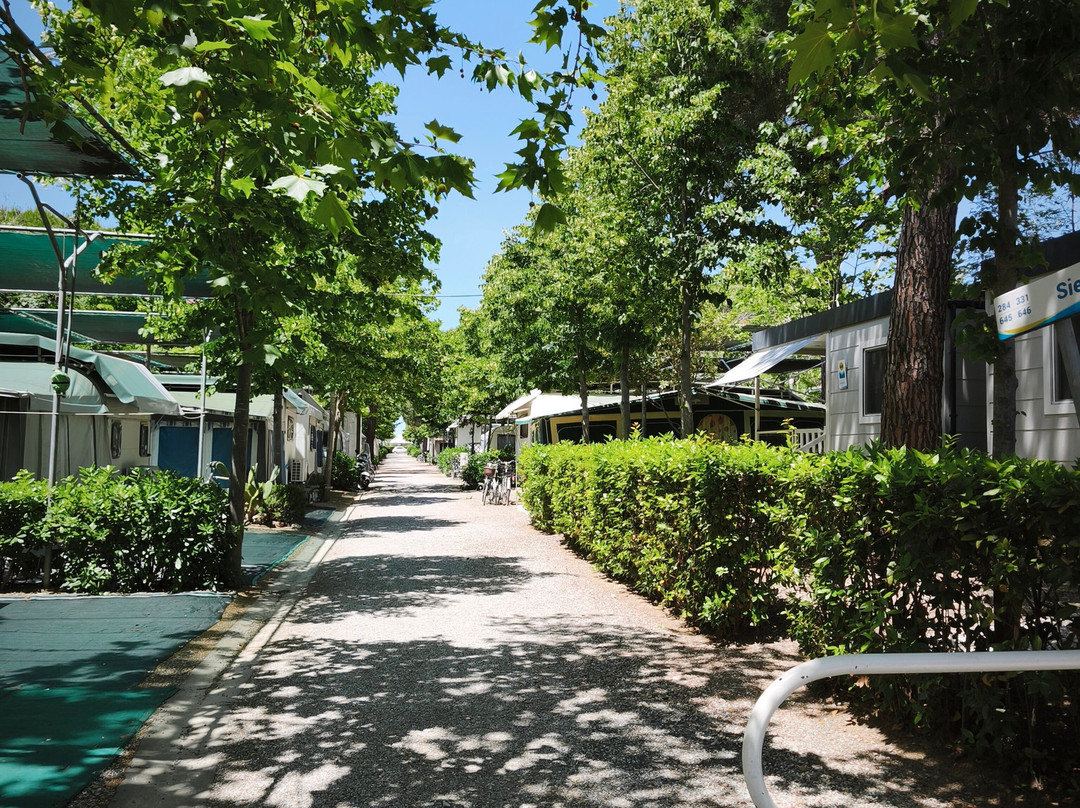 Camping Village Pappasole主图