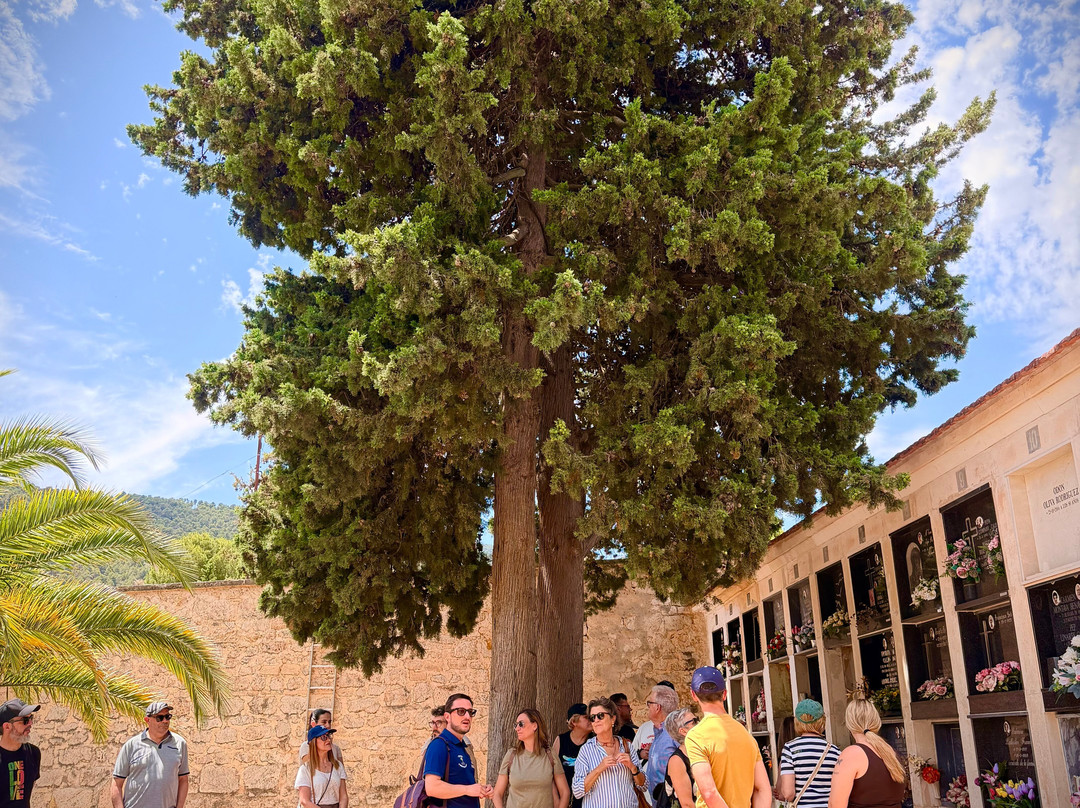 Visitas guiadas y excursiones escolares Quality Tours Mariola-Alcoy必去景点