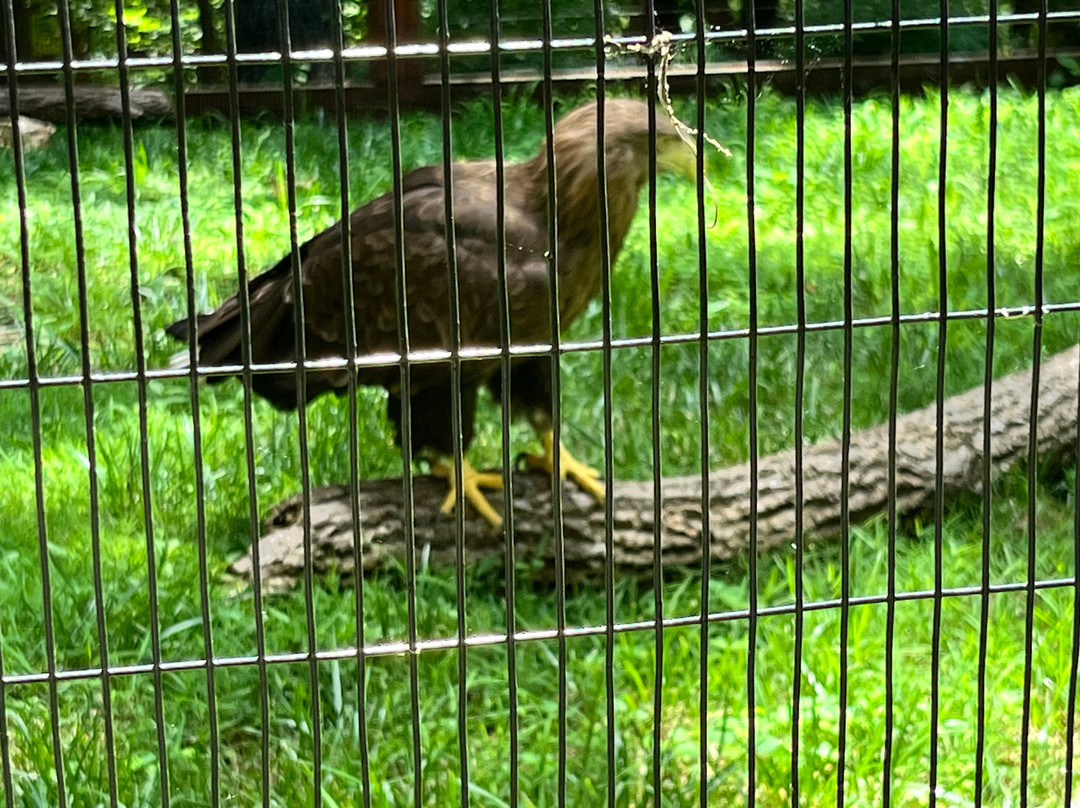 World Bird Sanctuary-Valley Park必去景点