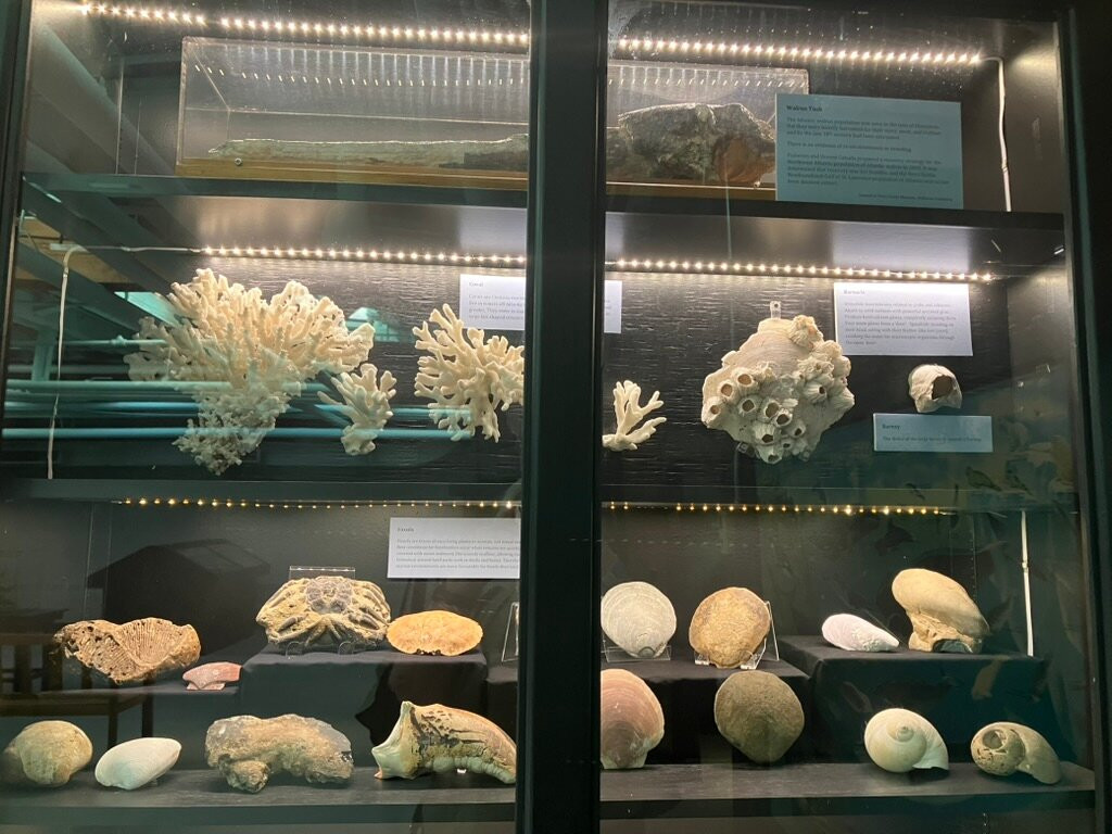 Fisheries Museum of the Atlantic-卢嫩堡必去景点