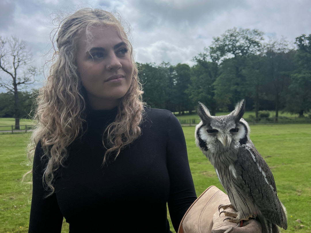 Surrey Hills Falconry-Ockley必去景点