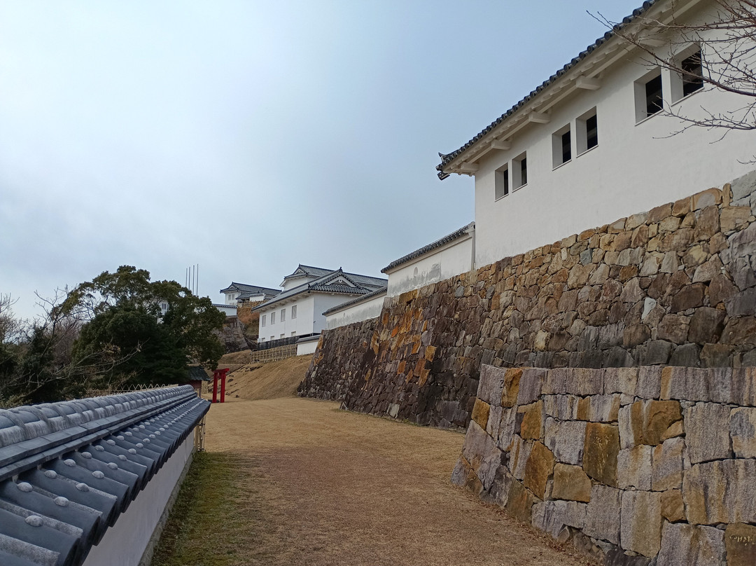 Tomioka Castle-苓北町必去景点