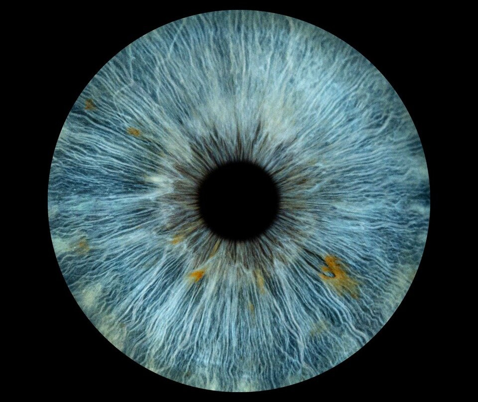 Iris Galerie Breda-布雷达必去景点