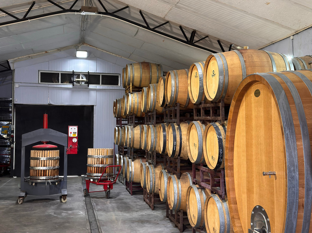 Besoain Wines-Pirque必去景点