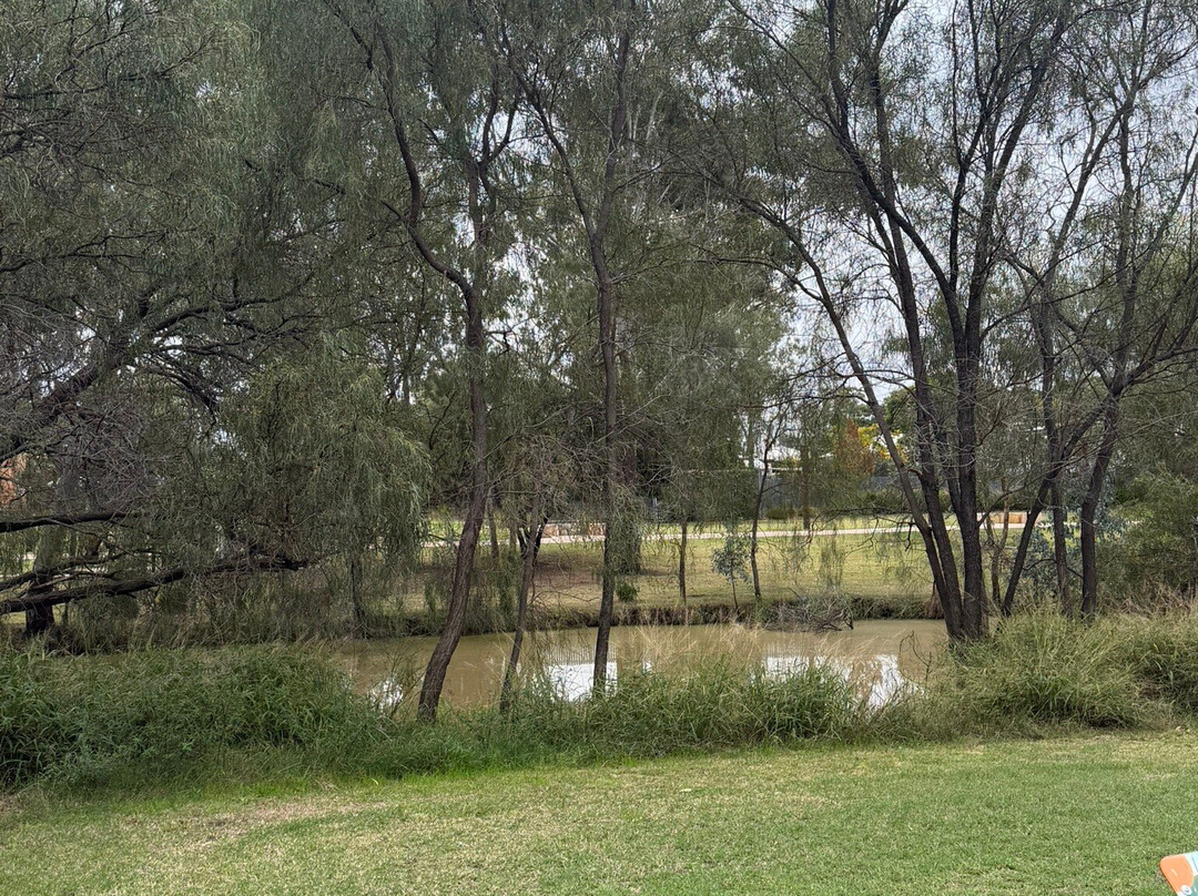 Myall Creek Parklands Walkway-多尔比必去景点