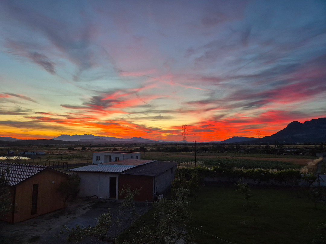 Tringa Guesthouse - Mrizi i Zanave