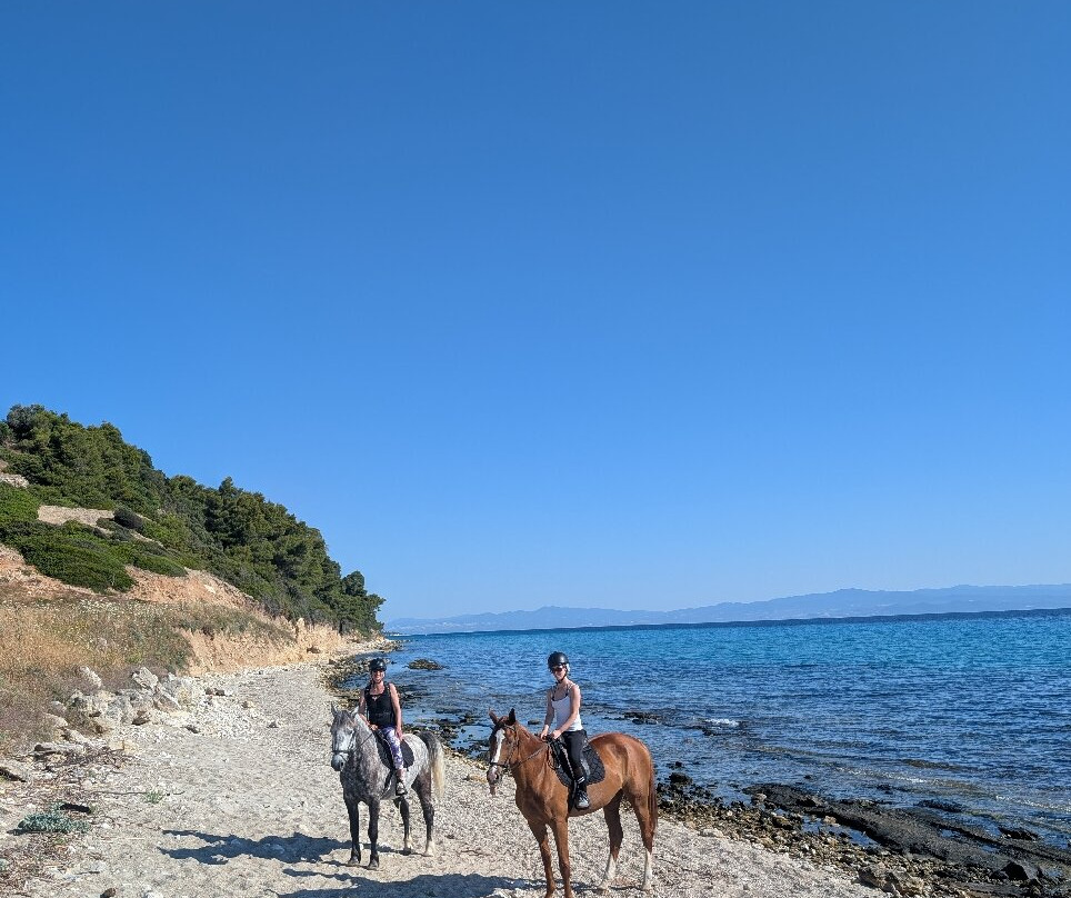 Horse-Ranch Manippos Halkidiki-Kassandra必去景点