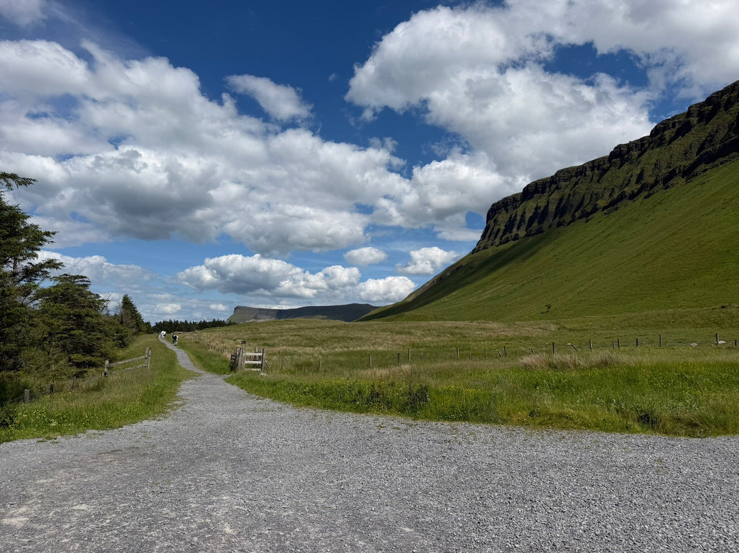 Benbulben Forest Walk