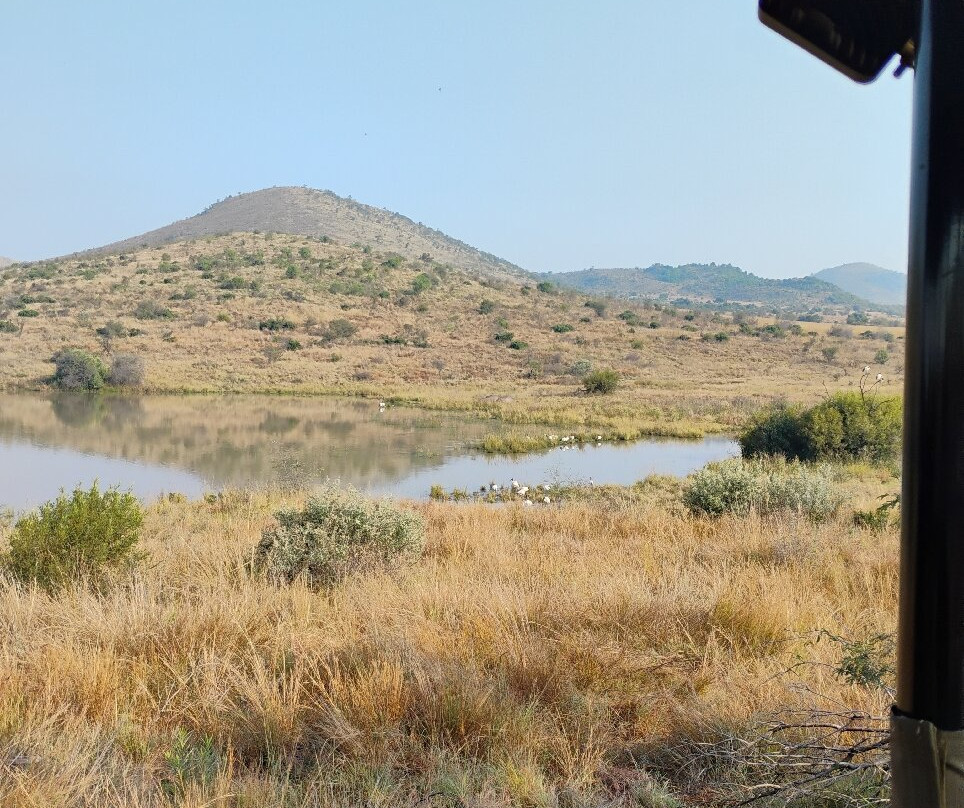 Pilanesberg National Park-太阳城必去景点