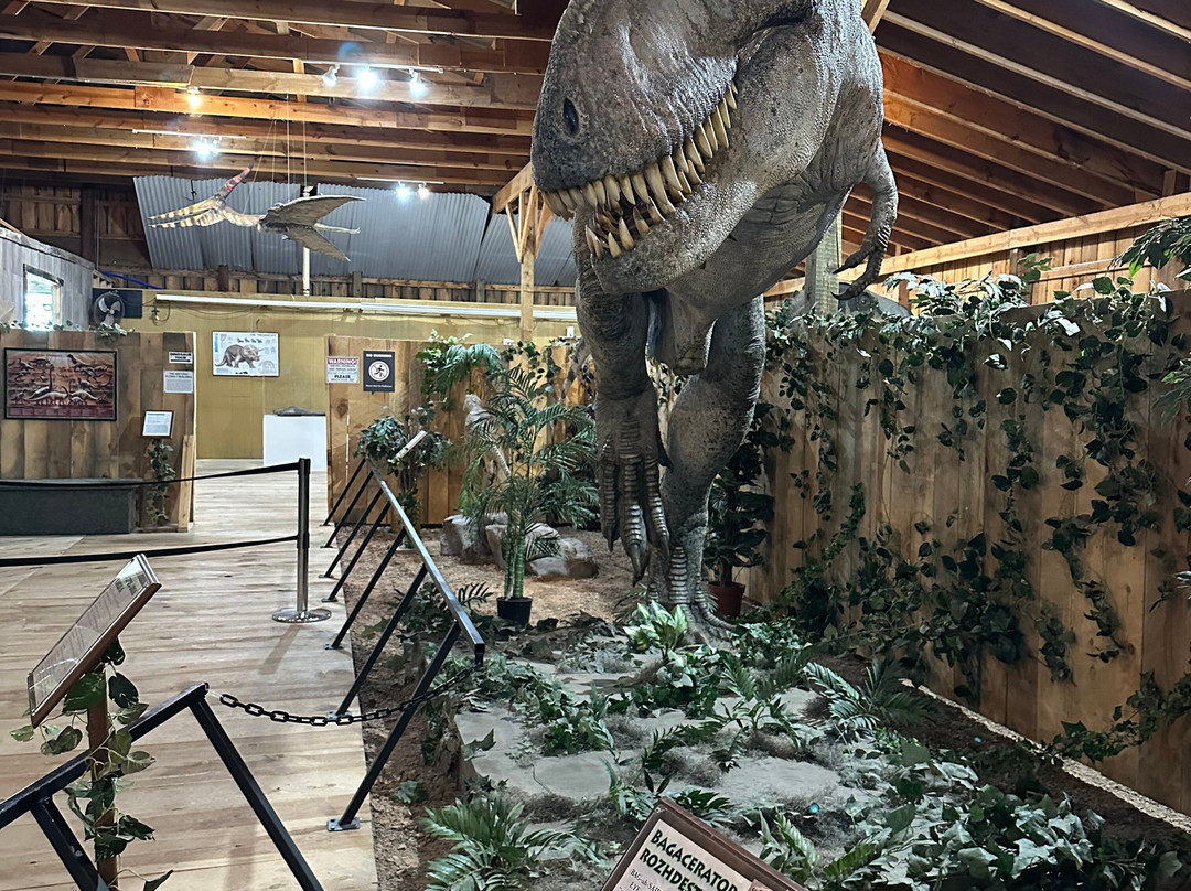 Dinosaur Museum-拉皮德城必去景点