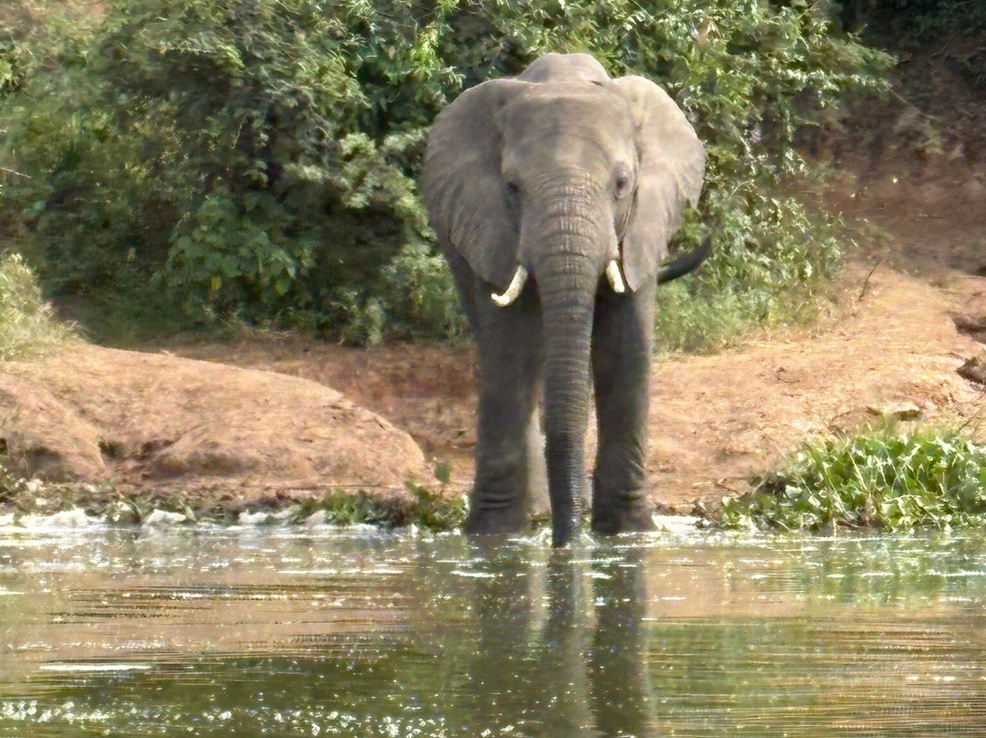 Devine African Safaris-吉佳利必去景点