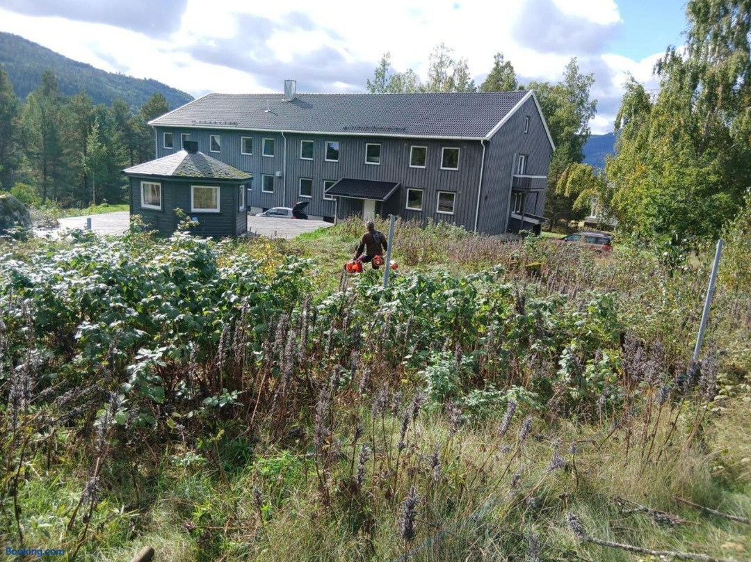 The Sisters Landeskogen