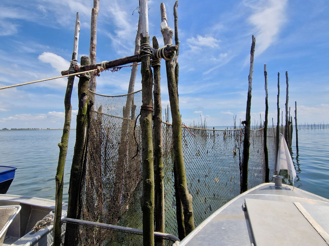 Strand Bergsediepsluis-Tholen必去景点