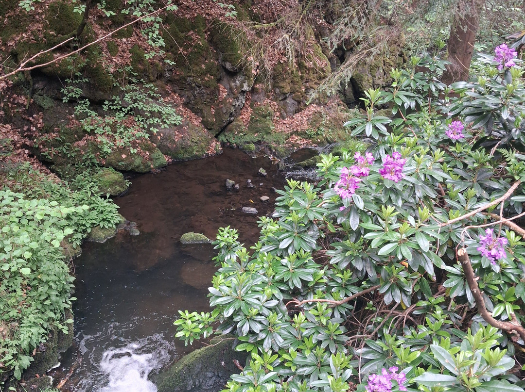 Fairy Glen Falls-Rosemarkie必去景点