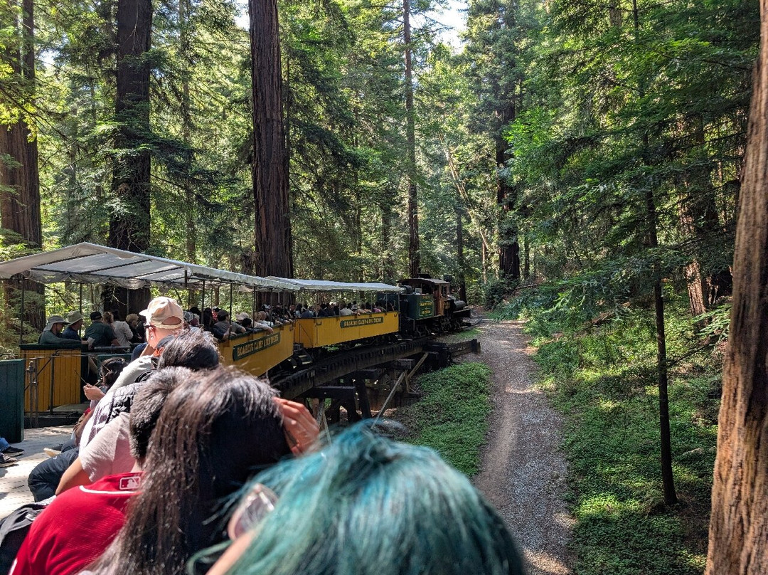 Roaring Camp Railroads-圣克鲁斯必去景点
