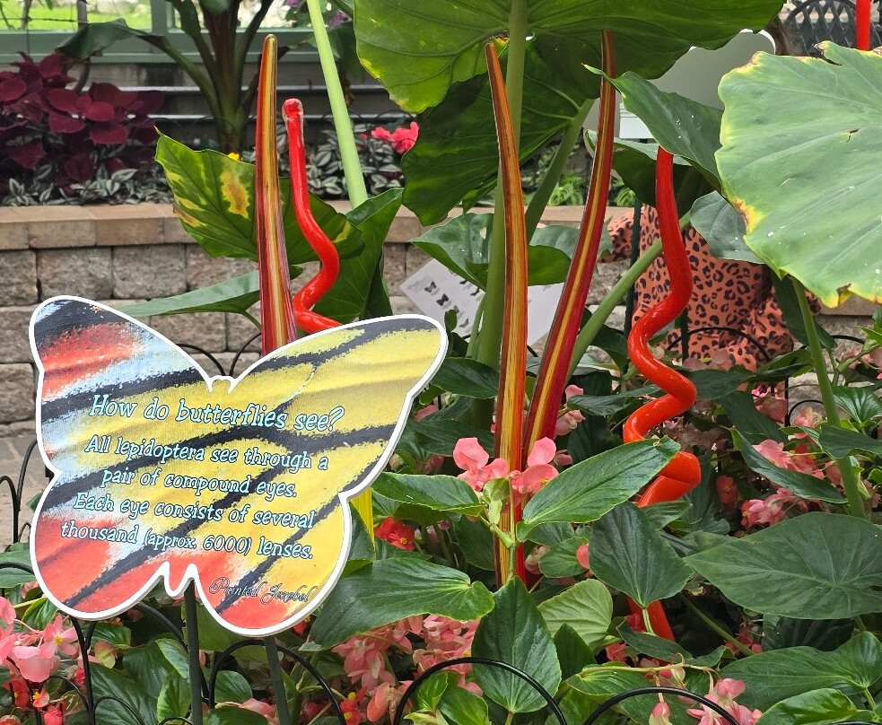 The Original Mackinac Island Butterfly House & Insect World-麦其诺岛必去景点