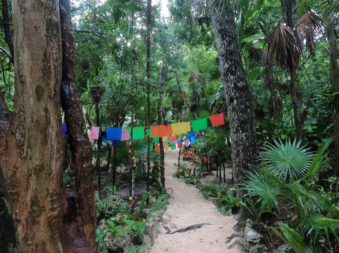 Parque De Cenotes Yax-Muul-图伦必去景点