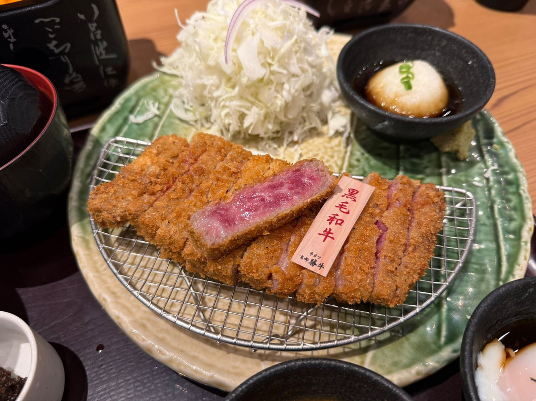 Gyukatsu Kyoto Katsugyu Doutonbori Nakaza Cuidaore Bldg