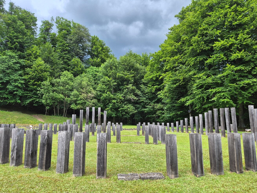 Sarmizegetusa Regia-Hunedoara County必去景点