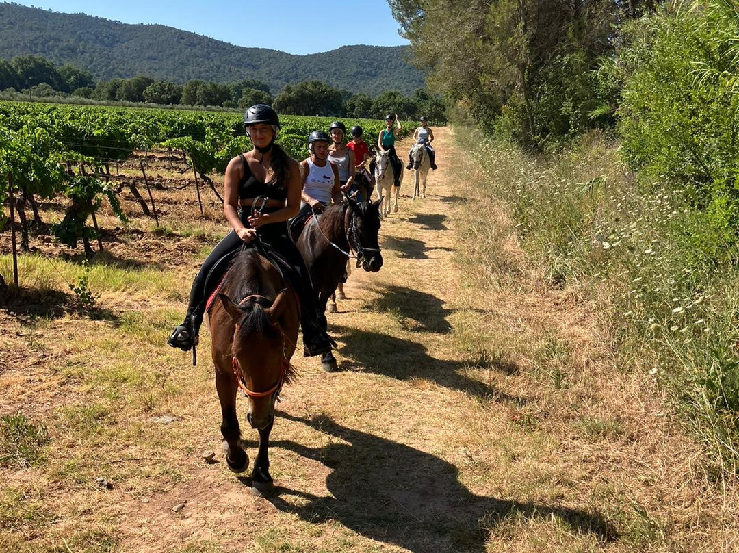 Aventure cheval. Randonnées à cheval-La Crau必去景点