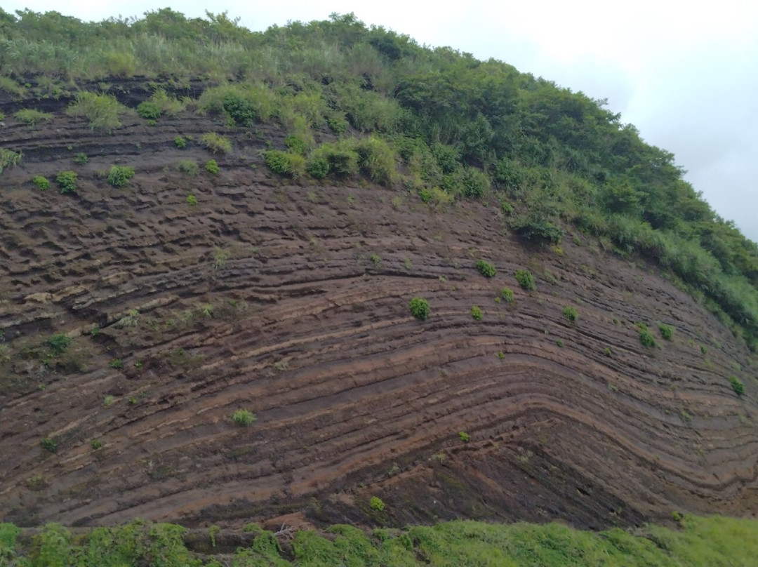 Faulted Strata in Oshima-大岛町必去景点