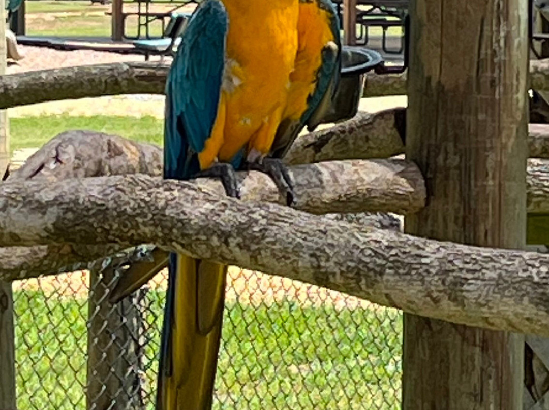 Alabama Safari Park-Hope Hull必去景点