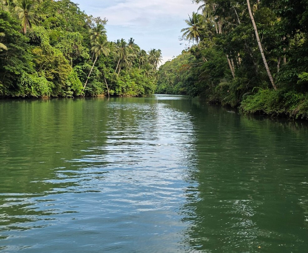 Loboc River Cruise-洛博克必去景点