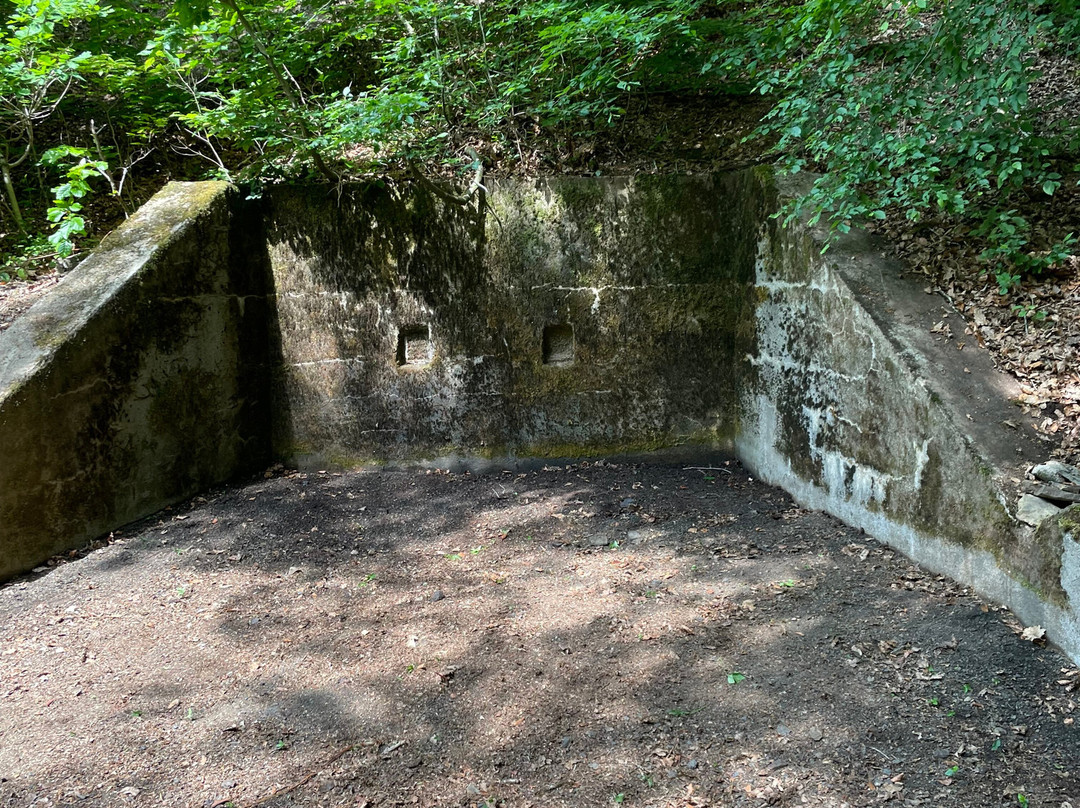 Le sentier des affleurements-朗香必去景点