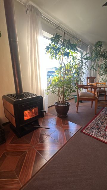 Hotel Küyen-Ko Pucón-旅行者