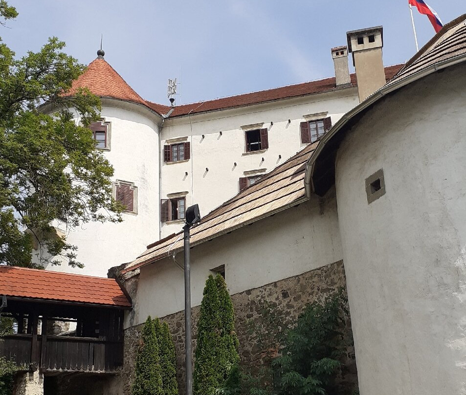 Velenje Museum - Muzej Velenje-Velenje必去景点