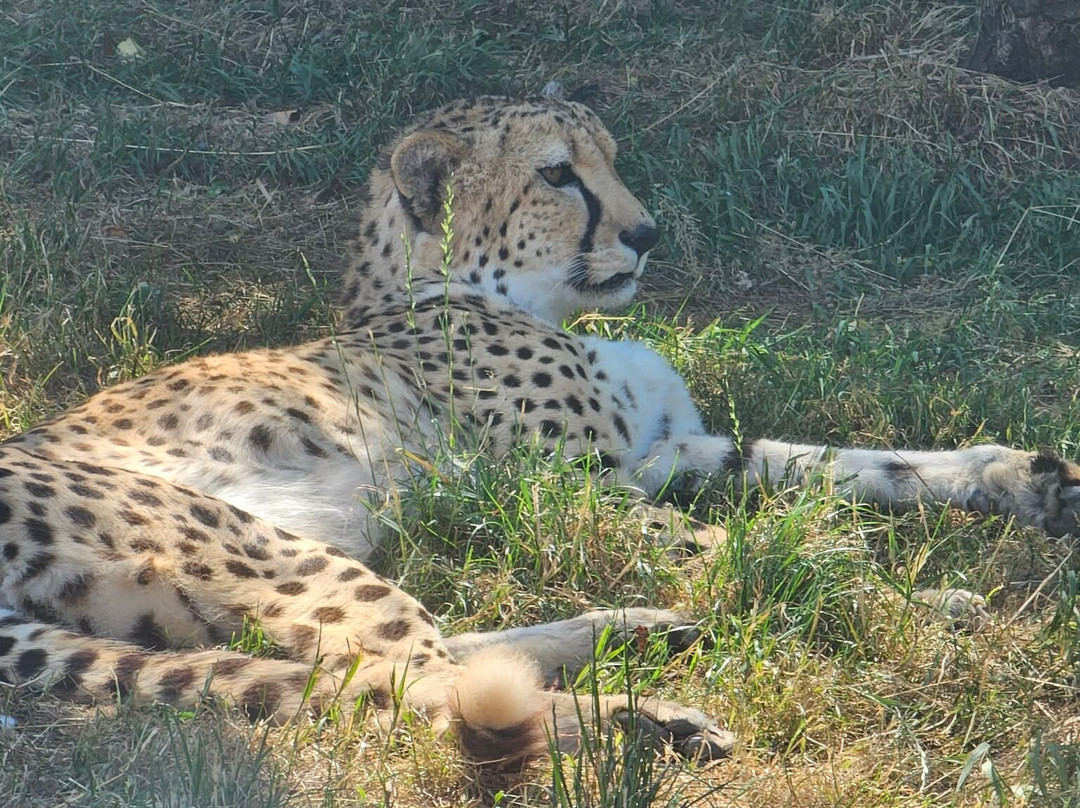 Paignton Zoo Environmental Park-佩恩顿必去景点