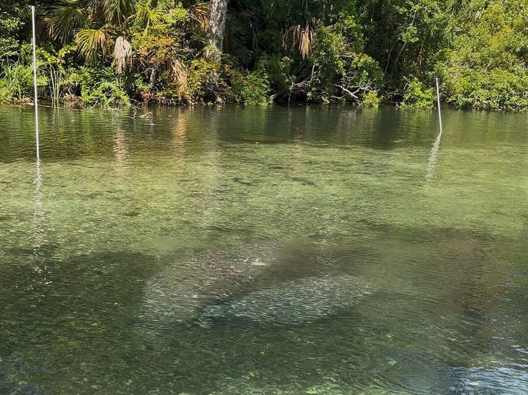 Weeki Wachee Kayaking-Weeki Wachee必去景点