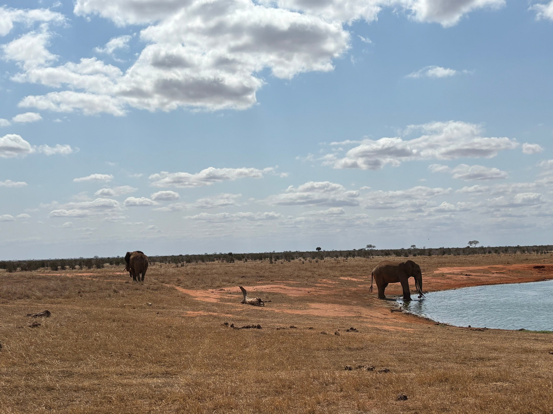 Marco Polo Safaris-迪亚尼必去景点