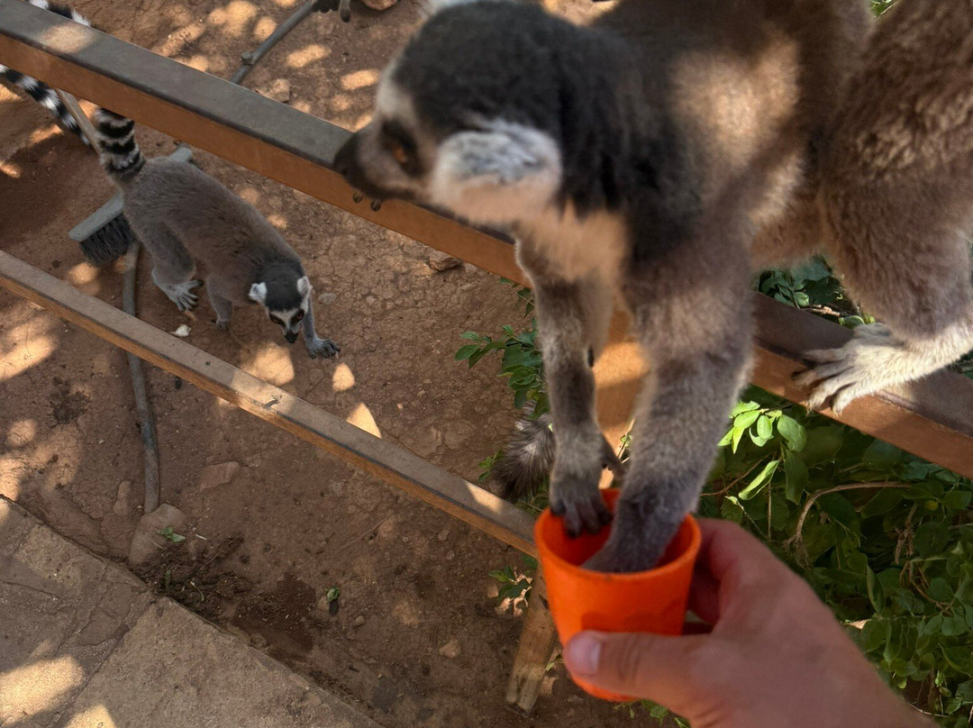 Pafos Zoo-帕福斯必去景点