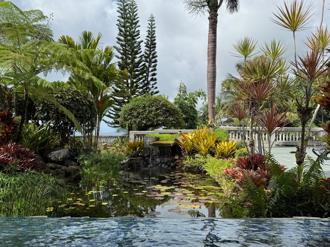 EL Yunque Rainforest Inn主图