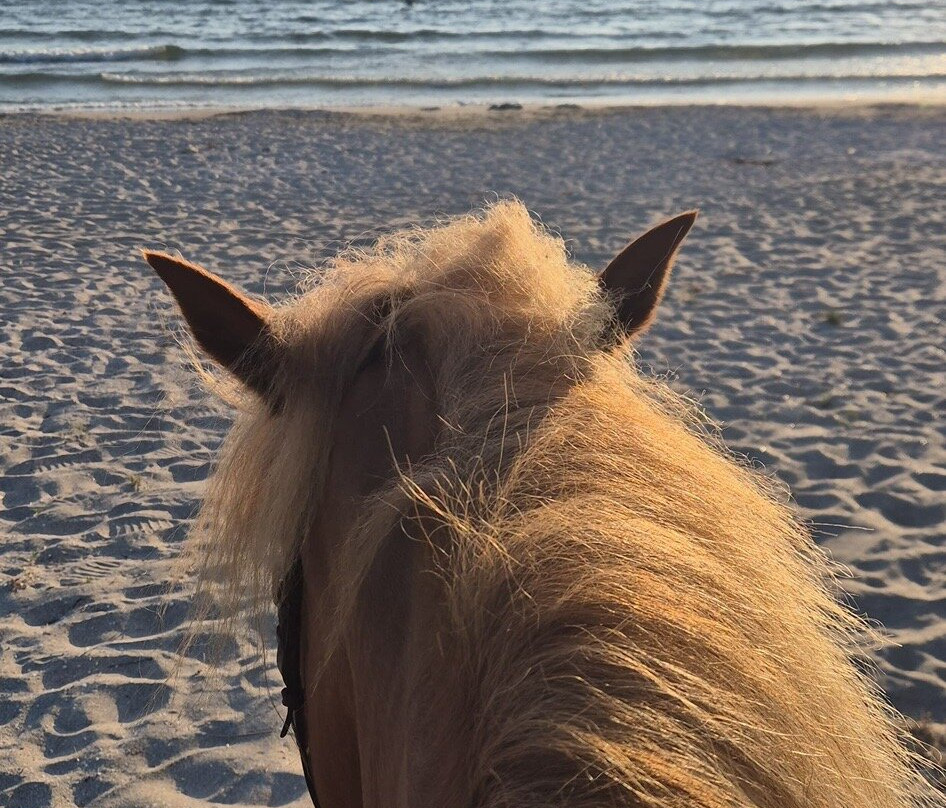 Horse Riding Alonaki-Valanidorrachi必去景点
