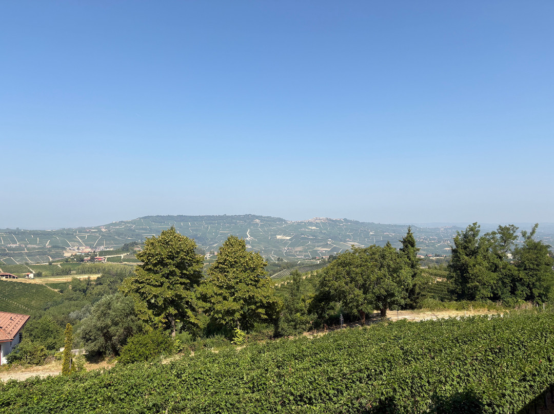 Manzone Giovanni Winery-蒙福特-达尔巴必去景点