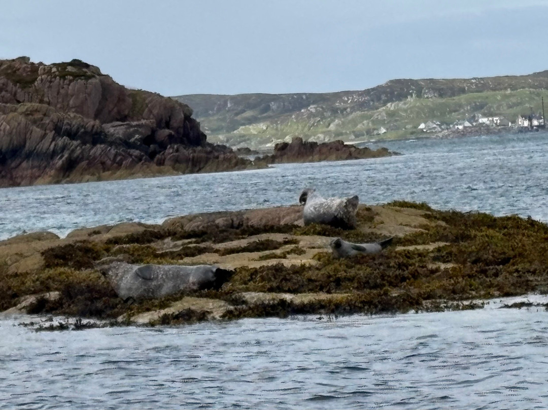 Staffa Trips-Isle of Iona必去景点