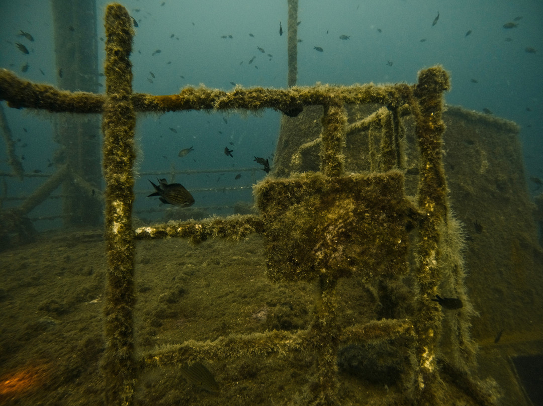 Diving Center Mihuric-塞尔赛必去景点