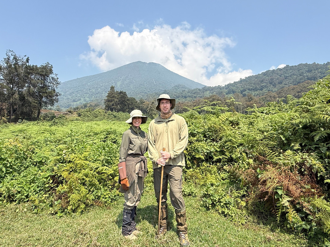 Go Gorilla Trekking-吉佳利必去景点