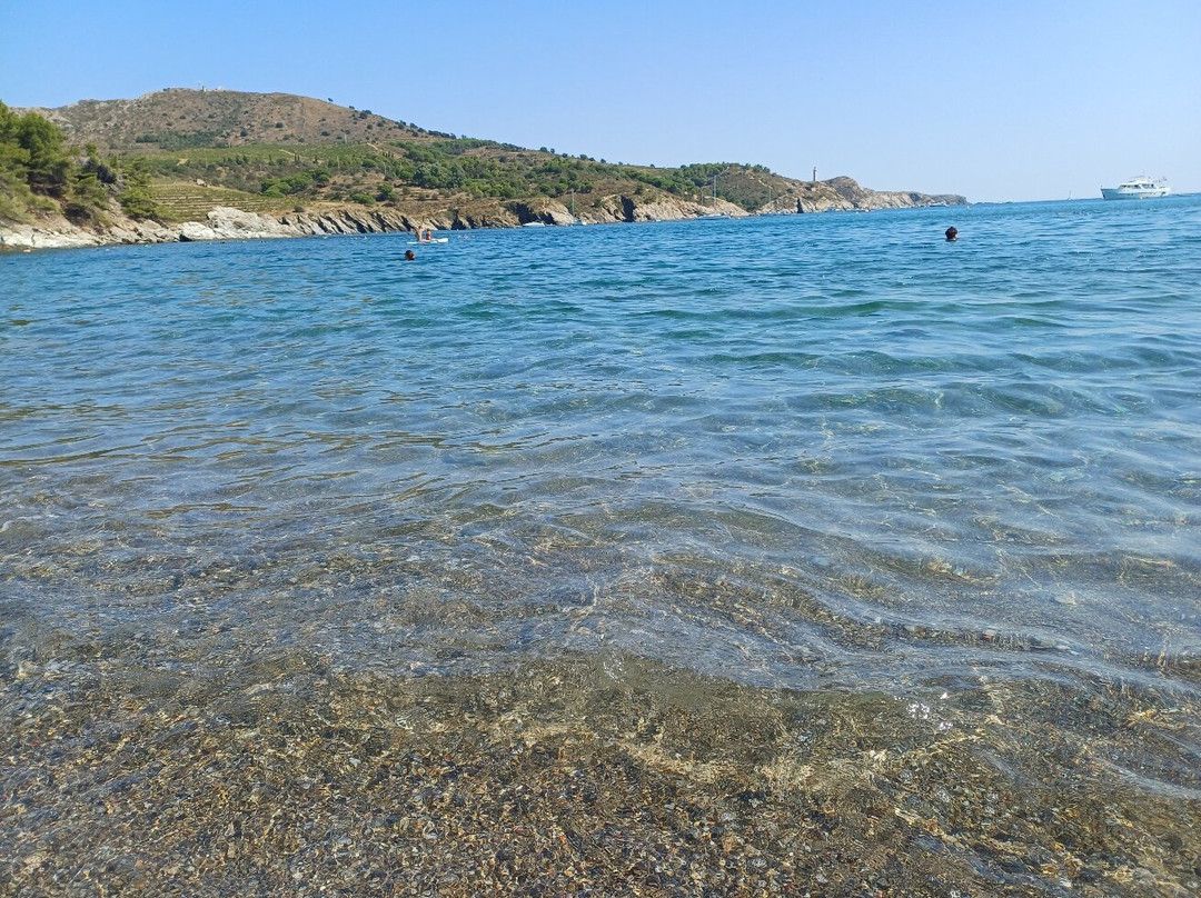 Plage de Paulilles