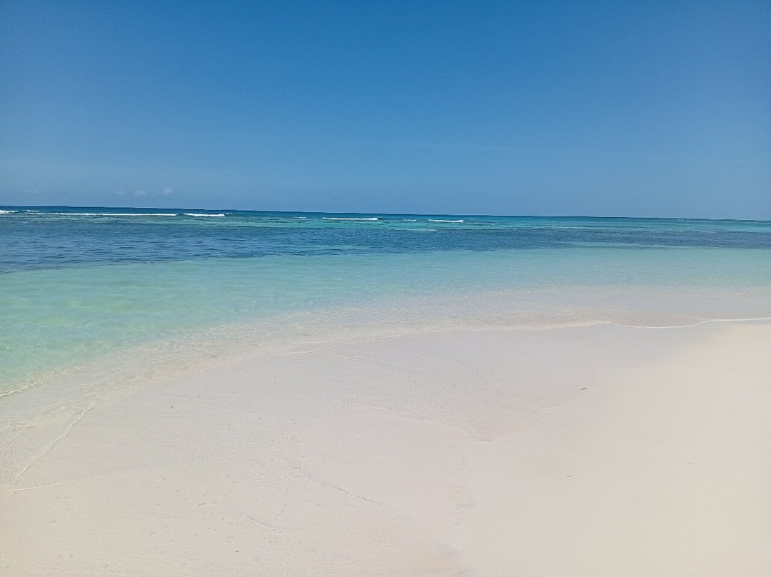 Canto De La Playa