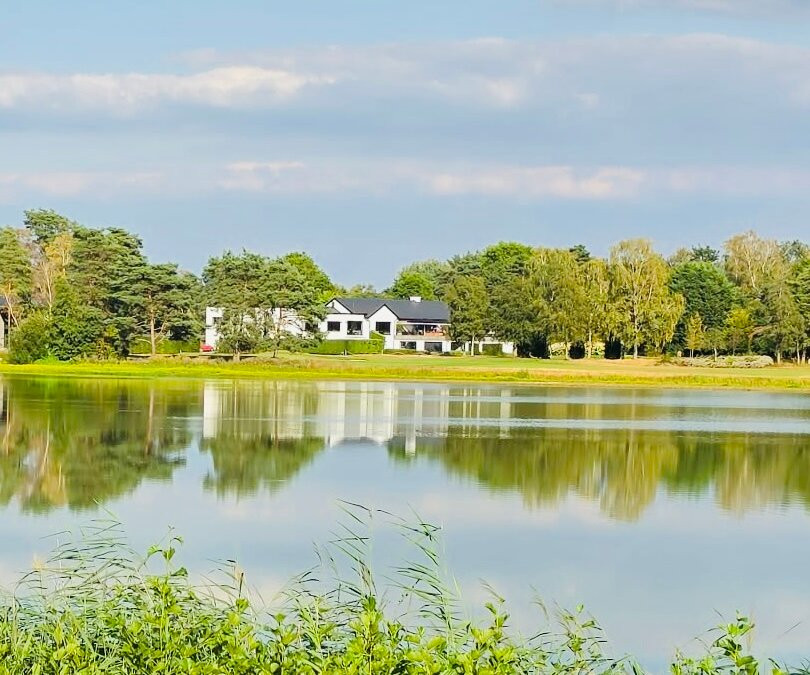 The Lake